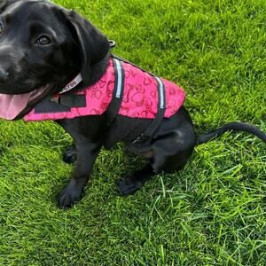 Dog life vest, life jacket, size S